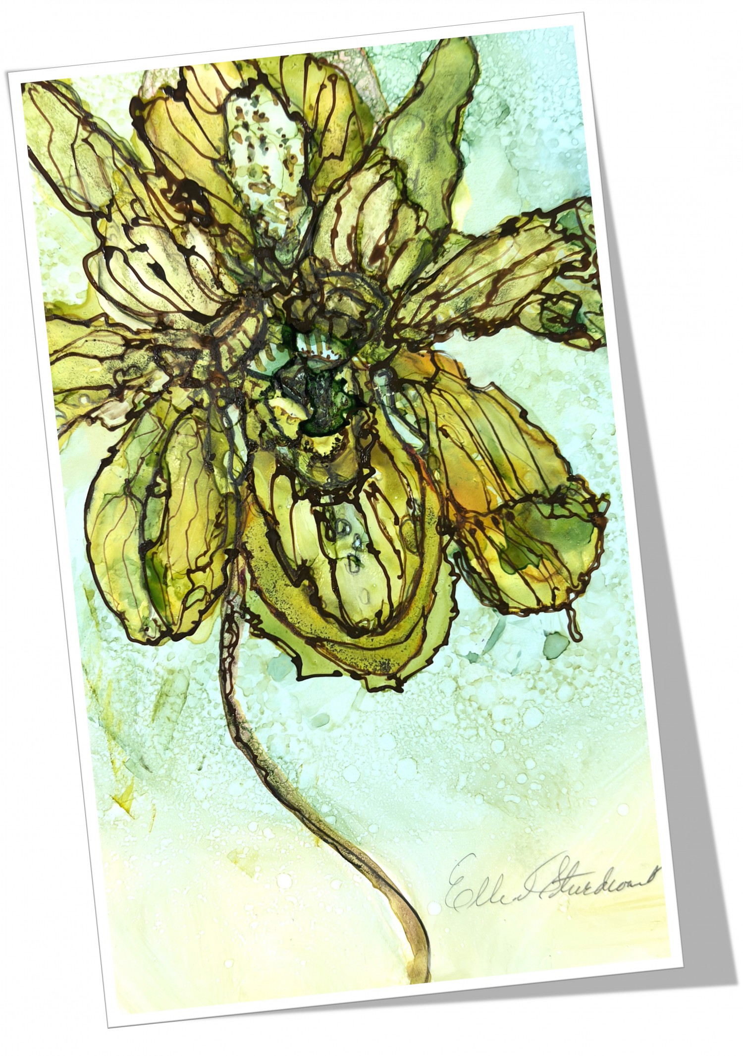 Flowers #01 Little Shop of Horrors