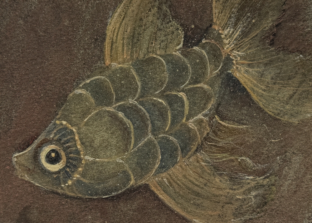 Abstract #20 with Fish #01