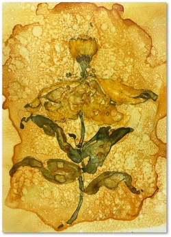 Flowers 02