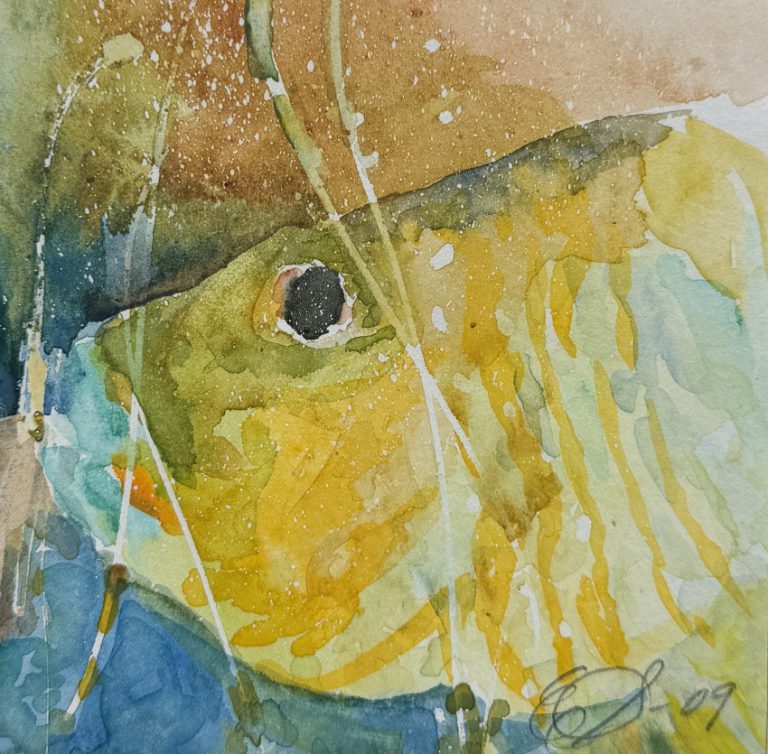 In the A Frame Flower#07  and Fish #02